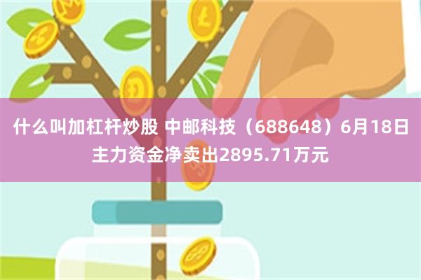 什么叫加杠杆炒股 中邮科技（688648）6月18日主力资金净卖出2895.71万元