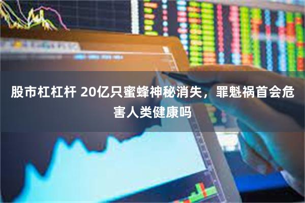 股市杠杠杆 20亿只蜜蜂神秘消失，罪魁祸首会危害人类健康吗