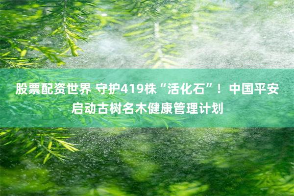股票配资世界 守护419株“活化石”!中国平安启动古树名木健康管理计划