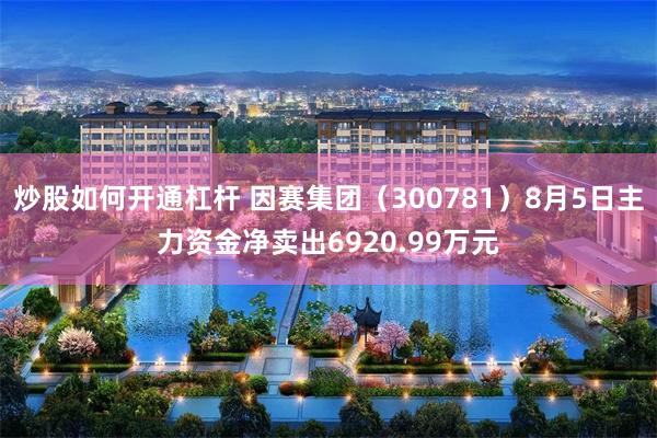 炒股如何开通杠杆 因赛集团（300781）8月5日主力资金净卖出6920.99万元