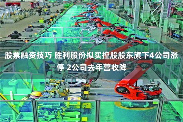 股票融资技巧 胜利股份拟买控股股东旗下4公司涨停 2公司去年营收降