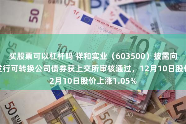 买股票可以杠杆吗 祥和实业（603500）披露向不特定对象发行可转换公司债券获上交所审核通过，12月10日股价上涨1.05%