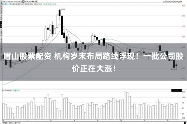 眉山股票配资 机构岁末布局路线浮现！一批公司股价正在大涨！