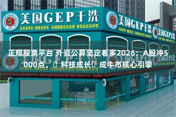 正规股票平台 外资公募坚定看多2026：A股冲5000点，‌科技成长‌成牛市核心引擎