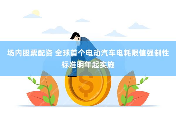 场内股票配资 全球首个电动汽车电耗限值强制性标准明年起实施