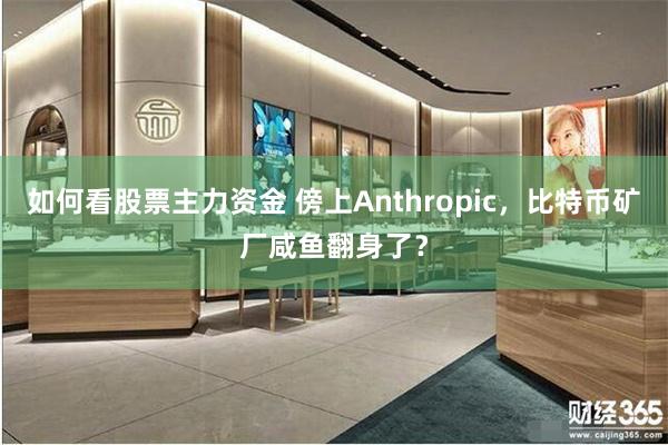 如何看股票主力资金 傍上Anthropic，比特币矿厂咸鱼翻身了？