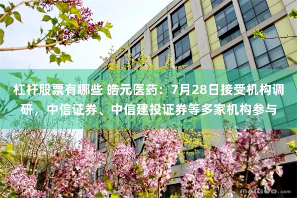 杠杆股票有哪些 皓元医药：7月28日接受机构调研，中信证券、中信建投证券等多家机构参与