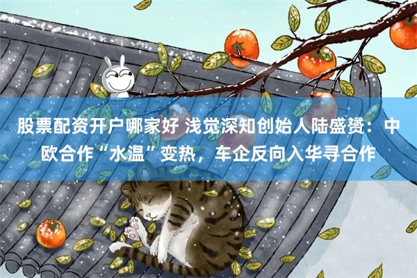 股票配资开户哪家好 浅觉深知创始人陆盛赟：中欧合作“水温”变热，车企反向入华寻合作