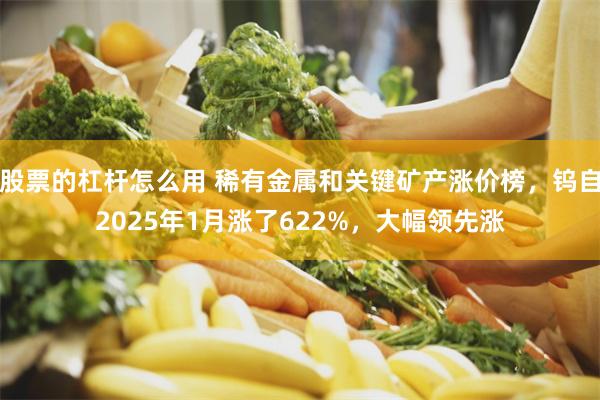 股票的杠杆怎么用 稀有金属和关键矿产涨价榜，钨自2025年1月涨了622%，大幅领先涨