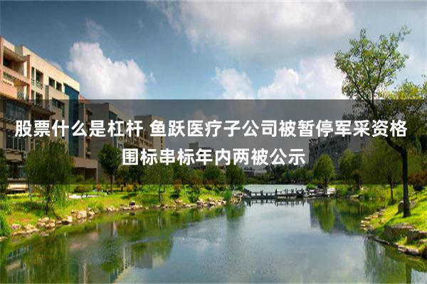 股票什么是杠杆 鱼跃医疗子公司被暂停军采资格 围标串标年内两被公示