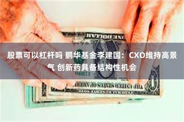 股票可以杠杆吗 鹏华基金李建国：CXO维持高景气 创新药具备结构性机会