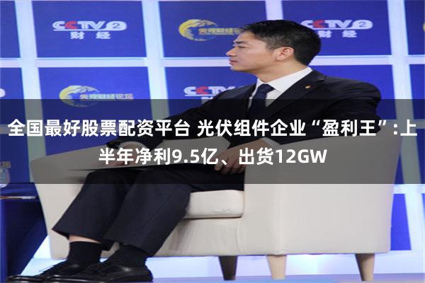 全国最好股票配资平台 光伏组件企业“盈利王”:上半年净利9.5亿、出货12GW
