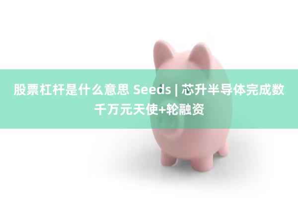 股票杠杆是什么意思 Seeds | 芯升半导体完成数千万元天使+轮融资