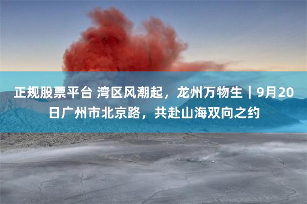 正规股票平台 湾区风潮起，龙州万物生｜9月20日广州市北京路，共赴山海双向之约