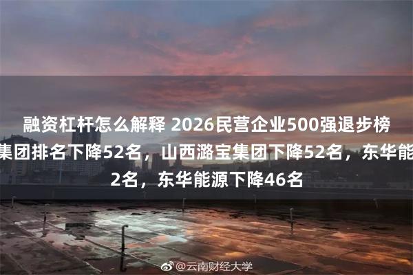 融资杠杆怎么解释 2026民营企业500强退步榜：深圳海王集团排名下降52名，山西潞宝集团下降52名，东华能源下降46名