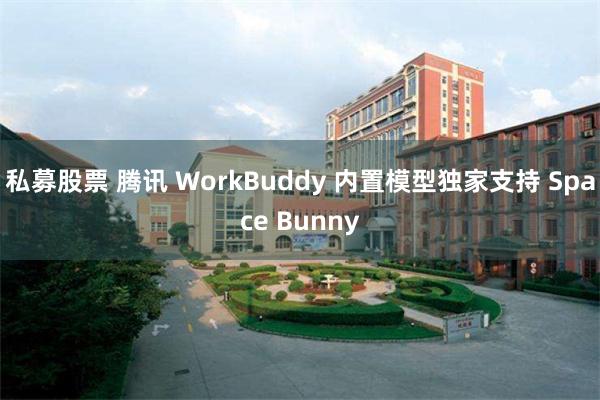 私募股票 腾讯 WorkBuddy 内置模型独家支持 Space Bunny