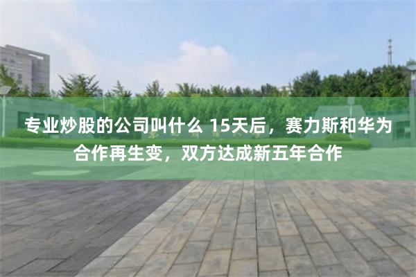 专业炒股的公司叫什么 15天后，赛力斯和华为合作再生变，双方达成新五年合作